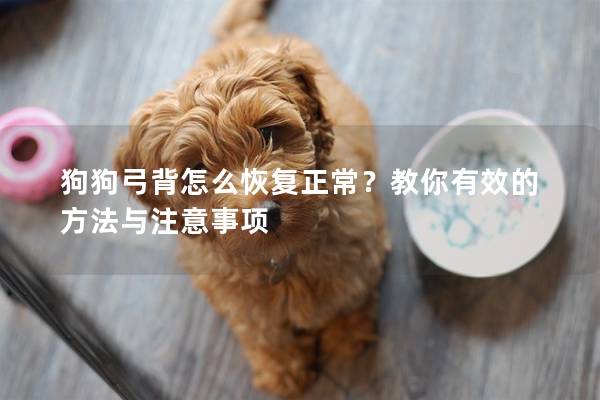 狗狗弓背怎么恢復正常？教你有效的方法與注意事項