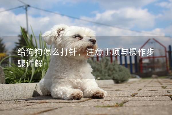 給狗狗怎么打針,注意事項與操作步驟詳解 給狗狗怎么打針,注意事項與操作步驟詳解