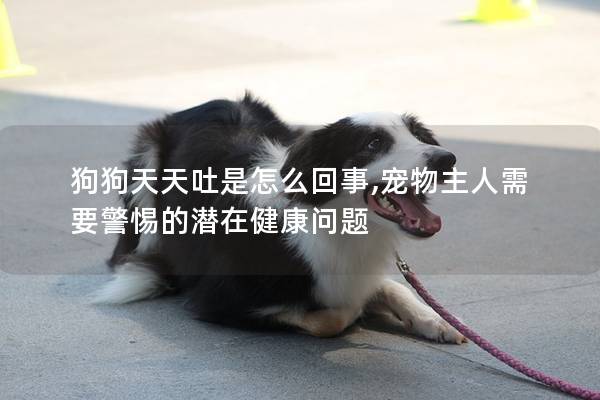 狗狗天天吐是怎么回事,寵物主人需要警惕的潛在健康問題