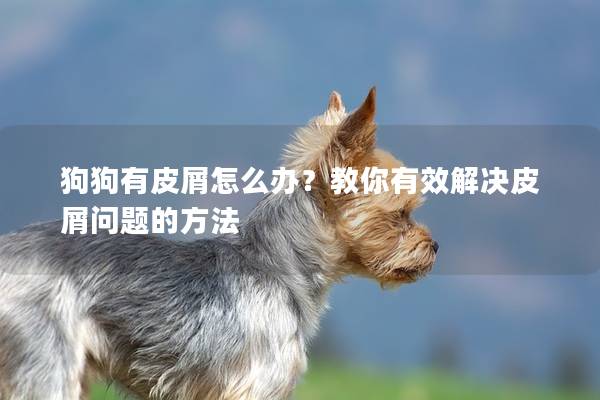 狗狗有皮屑怎么辦？教你有效解決皮屑問題的方法