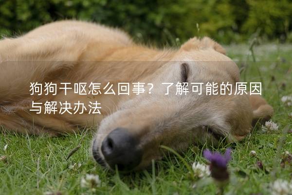 狗狗干嘔怎么回事？了解可能的原因與解決辦法