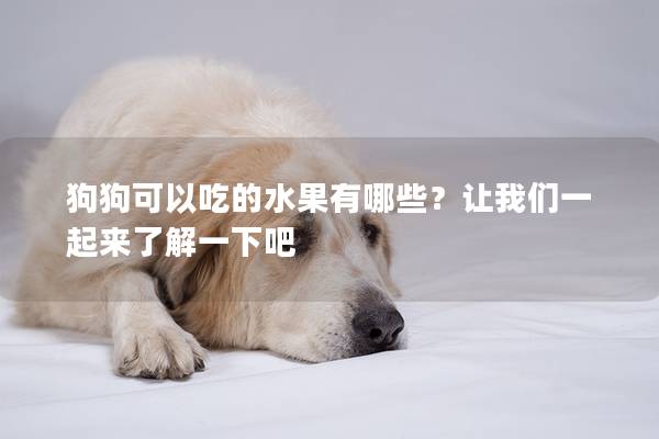 狗狗可以吃的水果有哪些?讓我們一起來了解一下吧 狗狗可以吃的水果有哪些?讓我們一起來了解一下吧