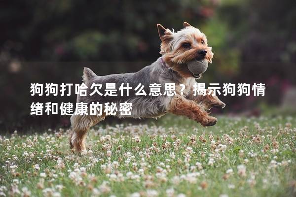 狗狗打哈欠是什么意思?揭示狗狗情緒和健康的秘密 狗狗打哈欠是什么意思?揭示狗狗情緒和健康的秘密