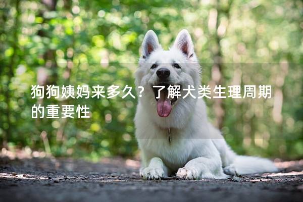 狗狗姨媽來多久？了解犬類生理周期的重要性