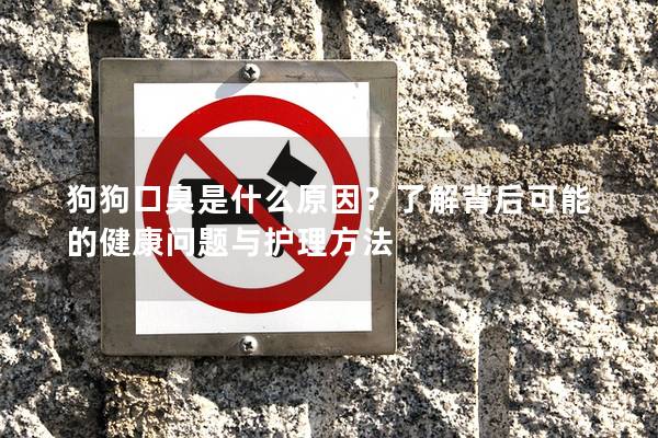 狗狗口臭是什么原因？了解背后可能的健康問題與護理方法