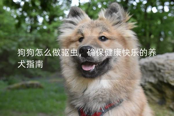 狗狗怎么做驅(qū)蟲，確保健康快樂的養(yǎng)犬指南