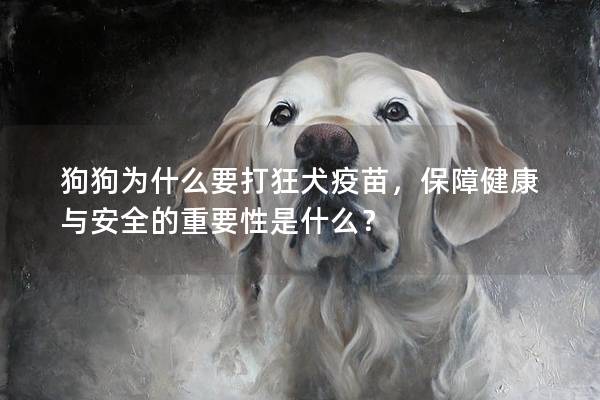 狗狗為什么要打狂犬疫苗，保障健康與安全的重要性是什么？