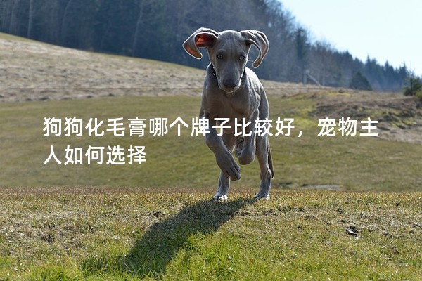 狗狗化毛膏哪個牌子比較好，寵物主人如何選擇