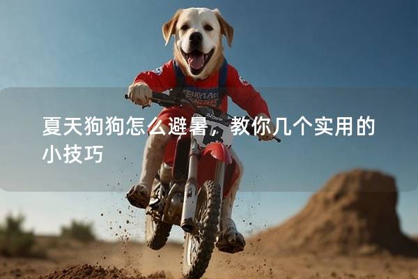 夏天狗狗怎么避暑，教你幾個實用的小技巧