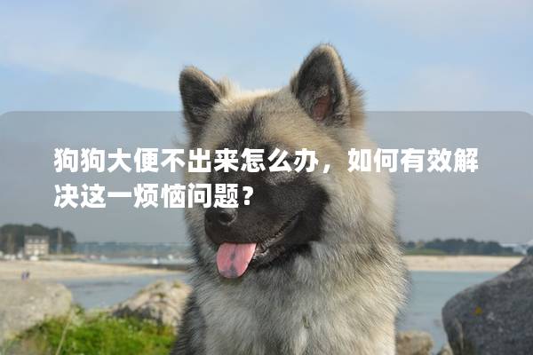 狗狗大便不出來怎么辦，如何有效解決這一煩惱問題？