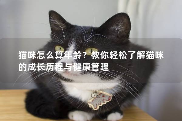 貓咪怎么算年齡？教你輕松了解貓咪的成長歷程與健康管理