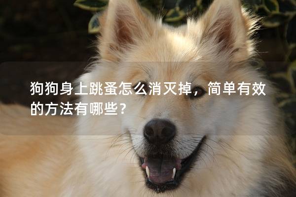 狗狗身上跳蚤怎么消滅掉,簡單有效的方法有哪些? 狗狗身上跳蚤怎么消滅掉,簡單有效的方法有哪些?